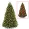 10 ft. Pre-Lit Dunhill® Fir Hinged Full Artificial Christmas Tree, LV Dual Color LED Lights